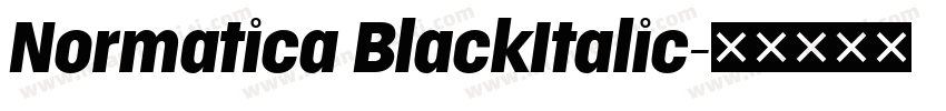 Normatica BlackItalic字体转换